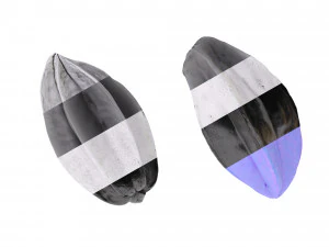 Frutas Carambola Modelo 3D