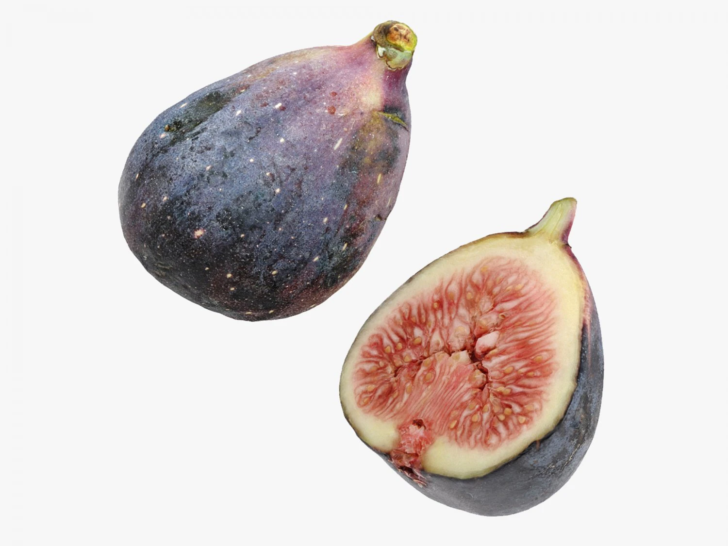 Fig fruit 3D Model .c4d .max .obj .3ds .fbx .stl .blend 