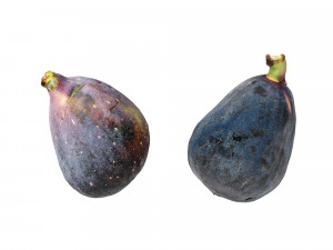Fig fruit 3D Model