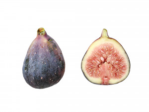 Fig fruit 3D Model