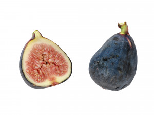 Fig fruit 3D Model