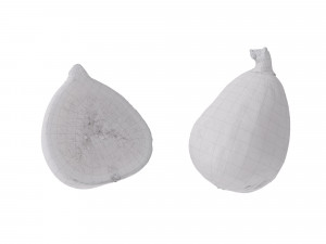 Fig fruit 3D Model