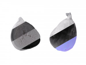 Fig fruit 3D Model