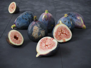 Fig fruit 3D Model