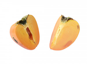 Persimmon Modèle 3D