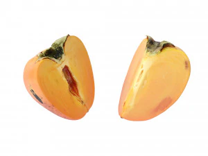 Persimmon 3D Model