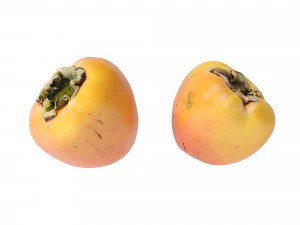 Persimmon 3D Model