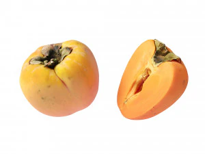 Persimmon 3D Model