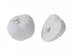 Persimmon Modèle 3D