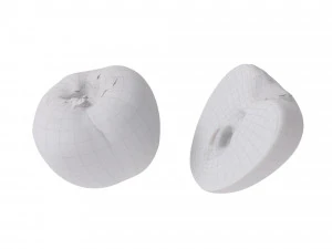 Persimmon 3D Model