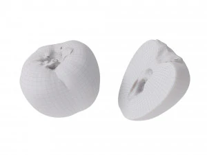 Persimmon 3D Model