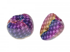 Persimmon 3D Model