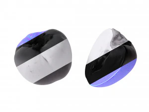 Persimmon 3D Model