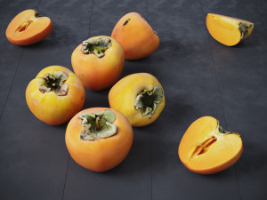 Persimmon Modèle 3D