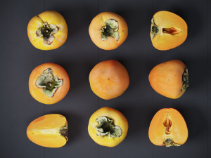 Persimmon Modèle 3D