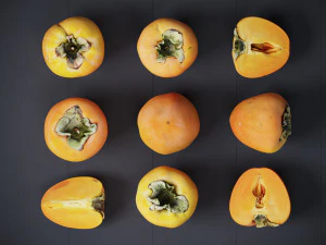 Persimmon 3D Model