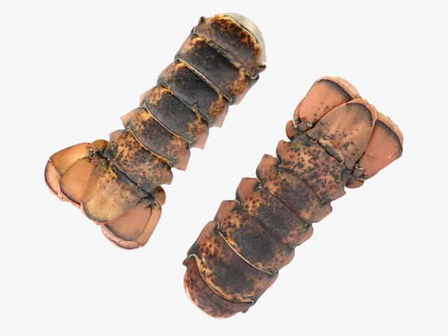 Atlantic Lobster tails 3D 모델 .c4d .max .obj .3ds .fbx .stl .blend 