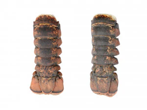 Atlantic Lobster tails 3D Model