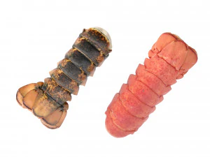 Atlantic Lobster tails 3D Model