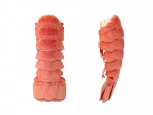 Atlantic Lobster tails 3D Model