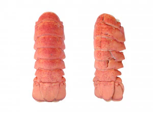 Atlantic Lobster tails 3D Model