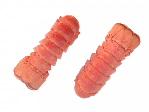 Atlantic Lobster tails 3D Model
