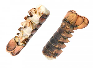 Atlantic Lobster tails 3D Model