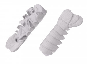 Atlantic Lobster tails 3D 모델