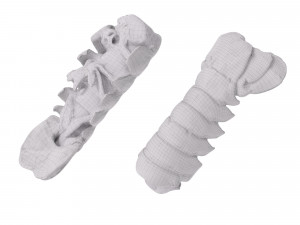 Atlantic Lobster tails 3D 모델