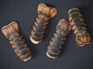 Atlantic Lobster tails 3D Model