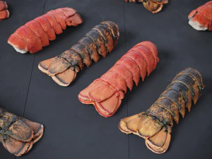 Atlantic Lobster tails 3D Model