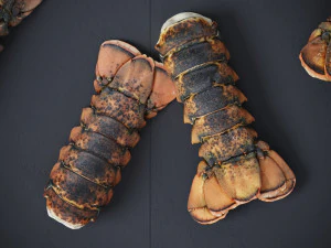 Atlantic Lobster tails 3D Model