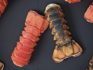 Atlantic Lobster tails 3D 모델