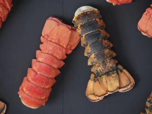 Atlantic Lobster tails 3D Model