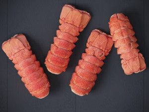 Atlantic Lobster tails 3D 모델