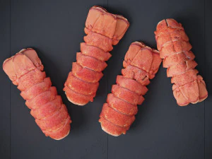 Atlantic Lobster tails 3D Model