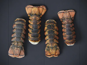 Atlantic Lobster tails 3D Model