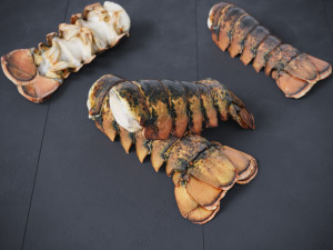Atlantic Lobster tails 3D 모델