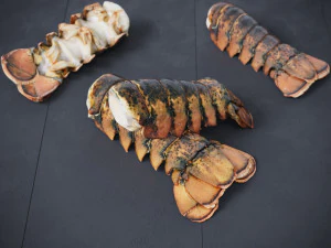Atlantic Lobster tails 3D Model
