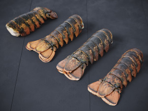 Atlantic Lobster tails 3D 모델