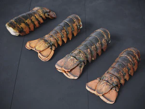 Atlantic Lobster tails 3D Model