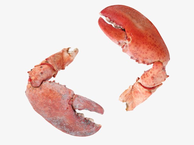 Lobster Claws Cooked Modello 3D .c4d .max .obj .3ds .fbx .stl .blend 