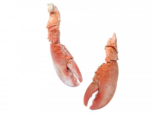 Lobster Claws Cooked Modello 3D
