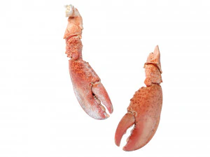 Lobster Claws Cooked 3D Model