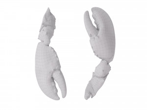 Lobster Claws Cooked Modello 3D