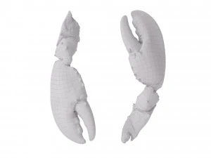 Lobster Claws Cooked 3D Model