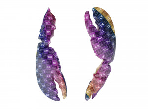 Lobster Claws Cooked Modello 3D
