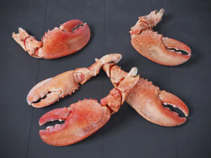 Lobster Claws Cooked 3D Model