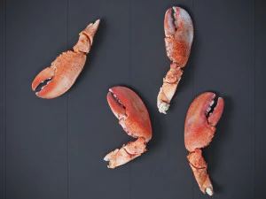 Lobster Claws Cooked 3D Model