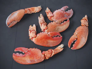 Lobster Claws Cooked 3D Model
